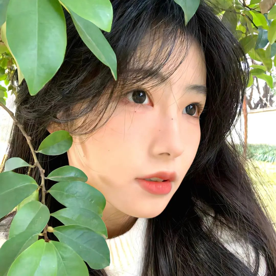 露营